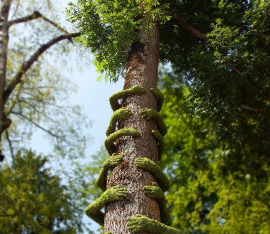French Artist Creates Incredible Plant-Based Installations