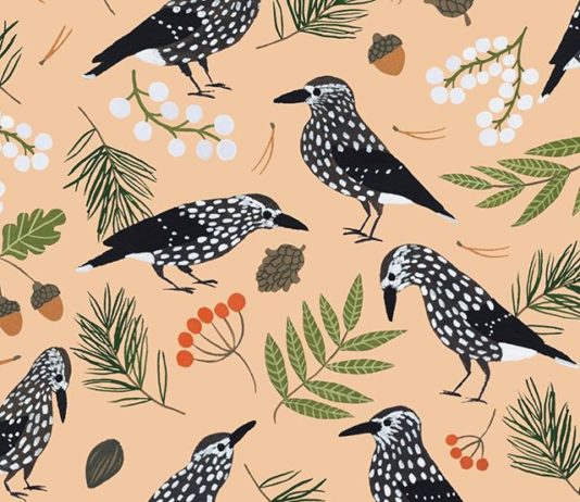 This Illustrator is Fascinated by Birds