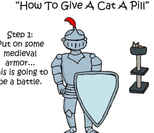 Hilarious Comics About the Struggles of Giving Cats a Pill