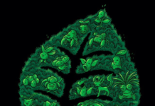 Artist Arranges Pokémon Characters According to Their Element