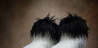 Artist Creates Shoes and Boots That Look Like Animal Hoovers