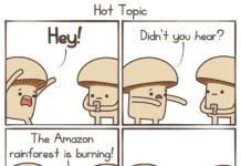Your Favorite Mushrooms – A Webcomic About the Everyday Fungi