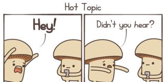 Your Favorite Mushrooms – A Webcomic About the Everyday Fungi