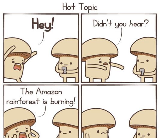 Your Favorite Mushrooms – A Webcomic About the Everyday Fungi