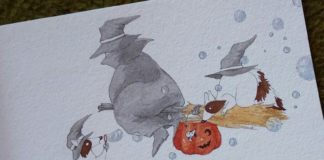 Check Out The Illustrations About Two Raccoons And Their Adventures