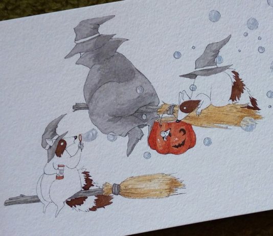 Check Out The Illustrations About Two Raccoons And Their Adventures