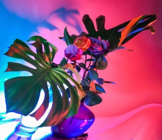 Signe Pierce: The Leader Of The Neon Renaissance in Contemporary Art