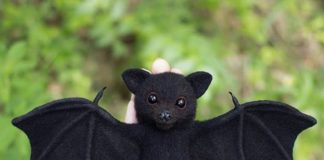 Russian Artist Creates Realistic Animals From Wool