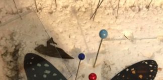 Woman Successfully Transplanted A Butterfly Wing