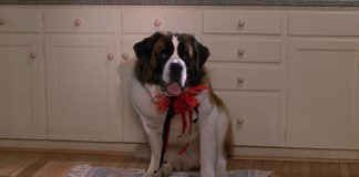 Nostalgic Animal Films to Enjoy This Holiday Season