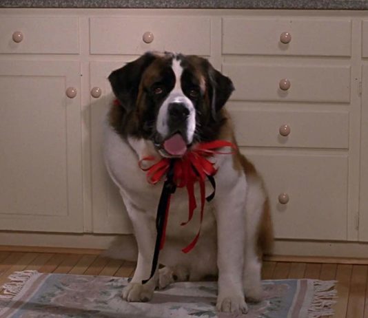 Nostalgic Animal Films to Enjoy This Holiday Season