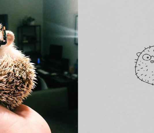 This Twitter Account Collects Hilarious Drawings of Animals