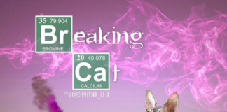 Artist Photoshops Sphynx Cats Into Movie Posters