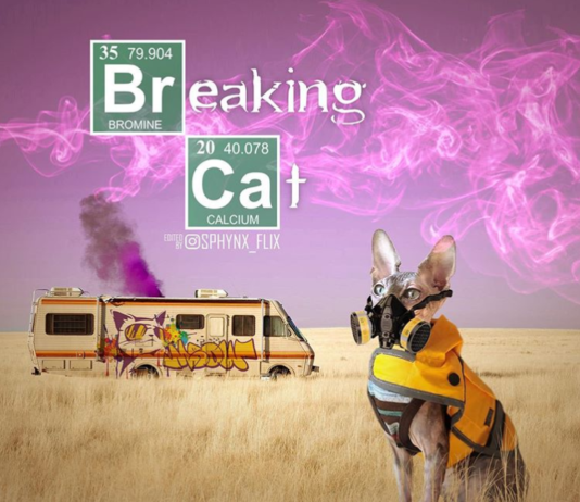 Artist Photoshops Sphynx Cats Into Movie Posters