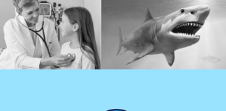 Artist Fuses Animals With Everyday Objects to Make Adorable Logos