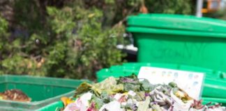 These Activists Will Teach You How to Treat Your Environment With Kindness