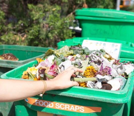 These Activists Will Teach You How to Treat Your Environment With Kindness