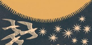 Dreamy Illustrations by Artist Mike Willcox