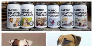 These Beer Cans Feature Dogs That Are up for Adoption