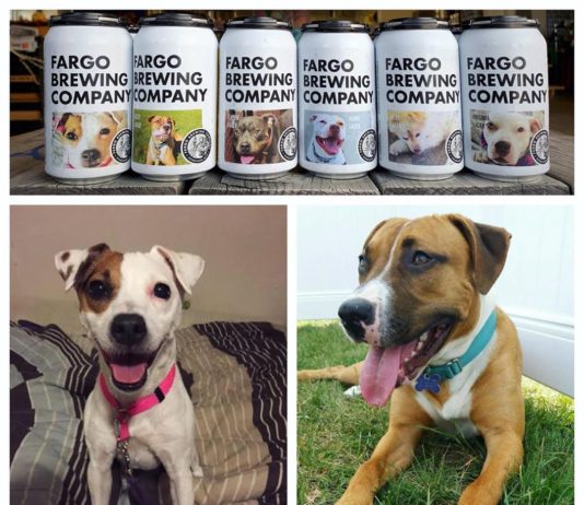 These Beer Cans Feature Dogs That Are up for Adoption