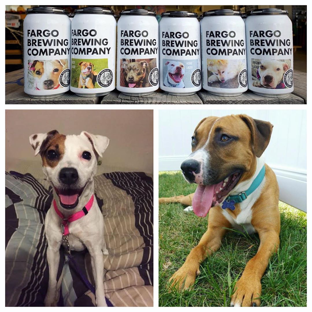 These Beer Cans Feature Dogs That Are up for Adoption PlayJunkie