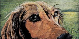 Incredible Art Made Out Of Staples