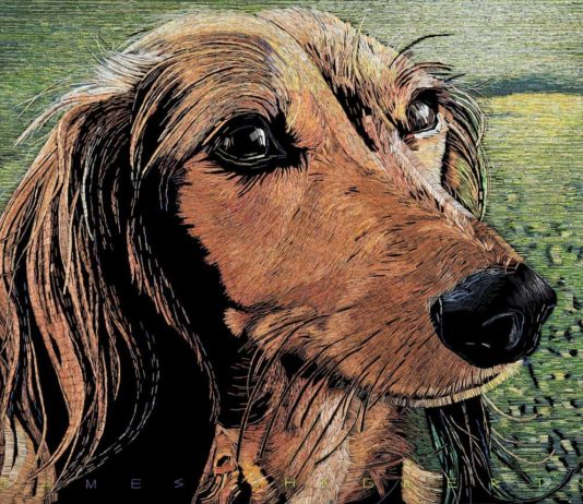 Incredible Art Made Out Of Staples