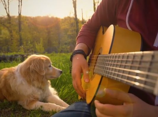 A Dog and a Musician Make the Best of Friends