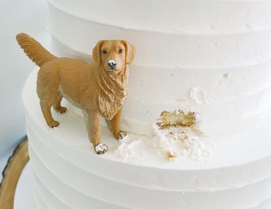 Baker Includes Small Dogs In Her Cakes
