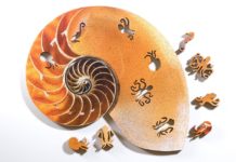 Check these Cool Spiral Jigsaw Puzzles Inspired by Nautilus and Ammonites