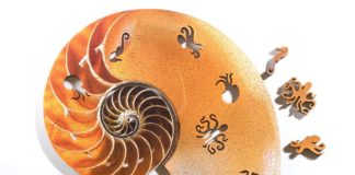 Check these Cool Spiral Jigsaw Puzzles Inspired by Nautilus and Ammonites