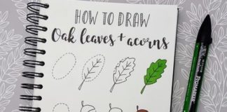 Step-by-Step Doodle Tutorials Make Complex Subjects Easy to Draw