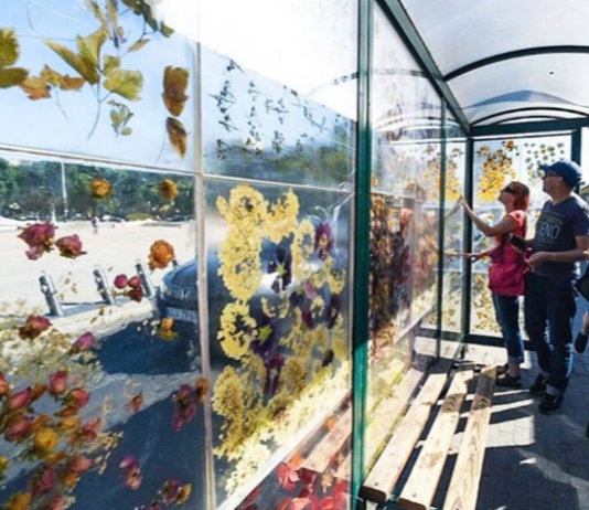 Art Student Decorates Tram Stop With Flowers