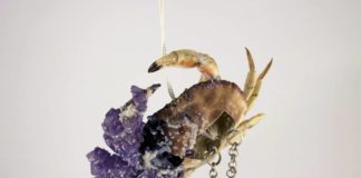 Artist Made a Jewelry Collection Using Dead Crabs