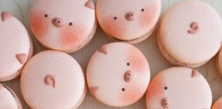 Toronto Baker is Creating the Most Adorable Animal Macarons You’ll Ever See