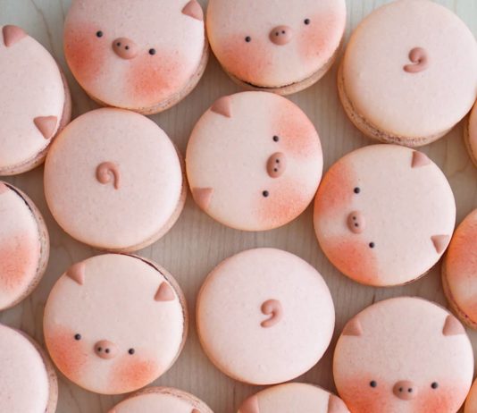 Toronto Baker is Creating the Most Adorable Animal Macarons You’ll Ever See