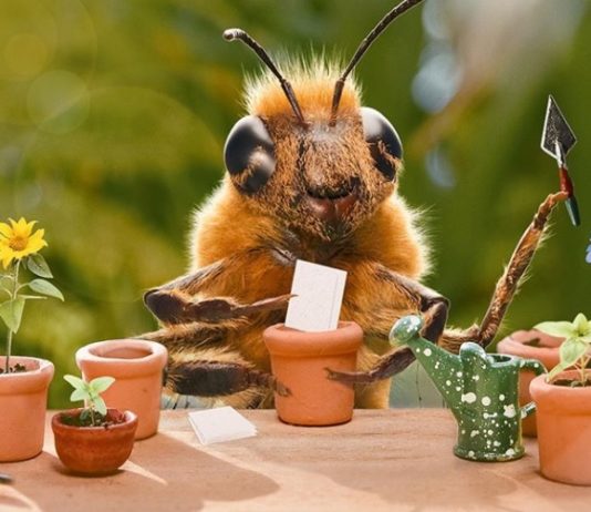 This is the First Bee Influencer in the World