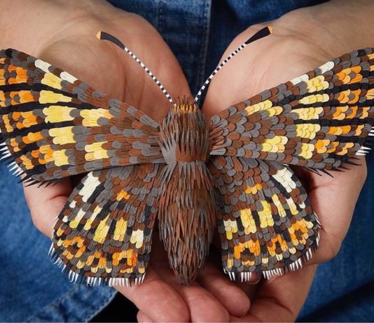 Lisa Lloyd Creates Amazing Birds and Butterflies From Paper