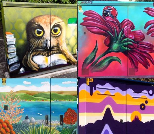 Artists Turn New Zealand’s Plain Utility Cabinets into Amazing Works of Art