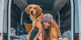 Woman Breaks Up With Boyfriend and Travels Across America With Her Dog