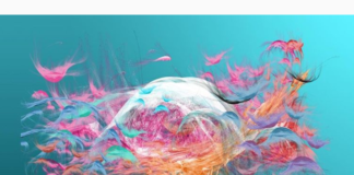 Turkish Artist Depicts the Remarkable Geometry of Nature