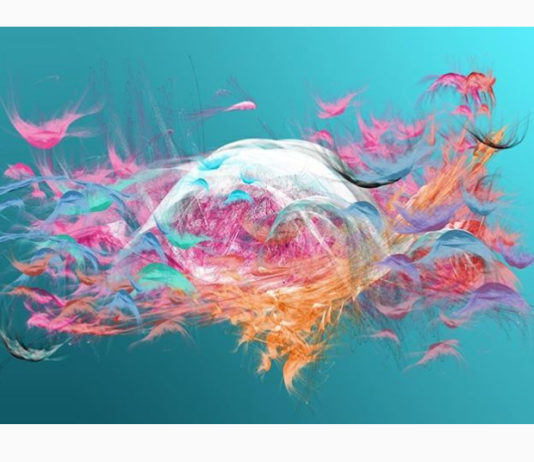 Turkish Artist Depicts the Remarkable Geometry of Nature