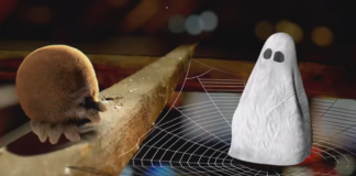 The Lovely Friendship Between a Spider and a Ghost