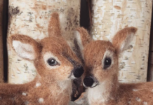 Multi-Talented Artist Makes Realistic-Looking Animals From Wool