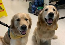 Six Medical Specialists Have 24 Legs and 6 Tales Between Them