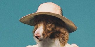 Artist Blends Human Bodies And Animal Faces Together