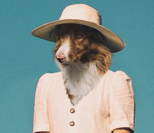 Artist Blends Human Bodies And Animal Faces Together