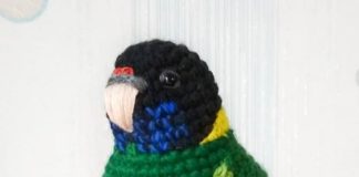 Intricate Crochet Birds by Tanya Zhylyayeva