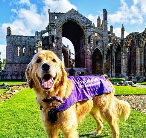 Edinburgh Offers Walking Tours With a Dog as Your Guide