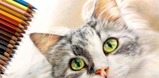 Artist Creates Unbelievably Realistic Drawings of Animals